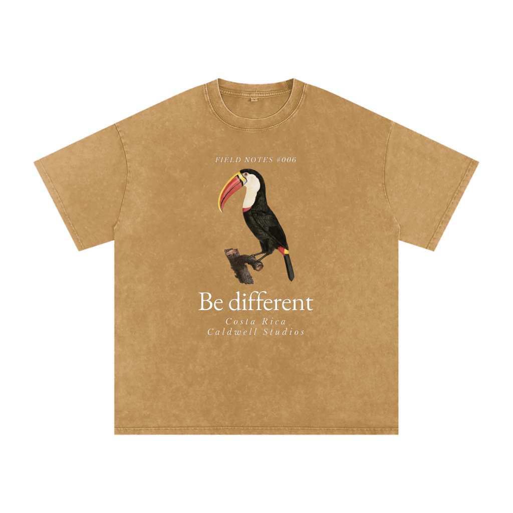 Field Notes Snow Washed Oversized Cotton T-Shirt