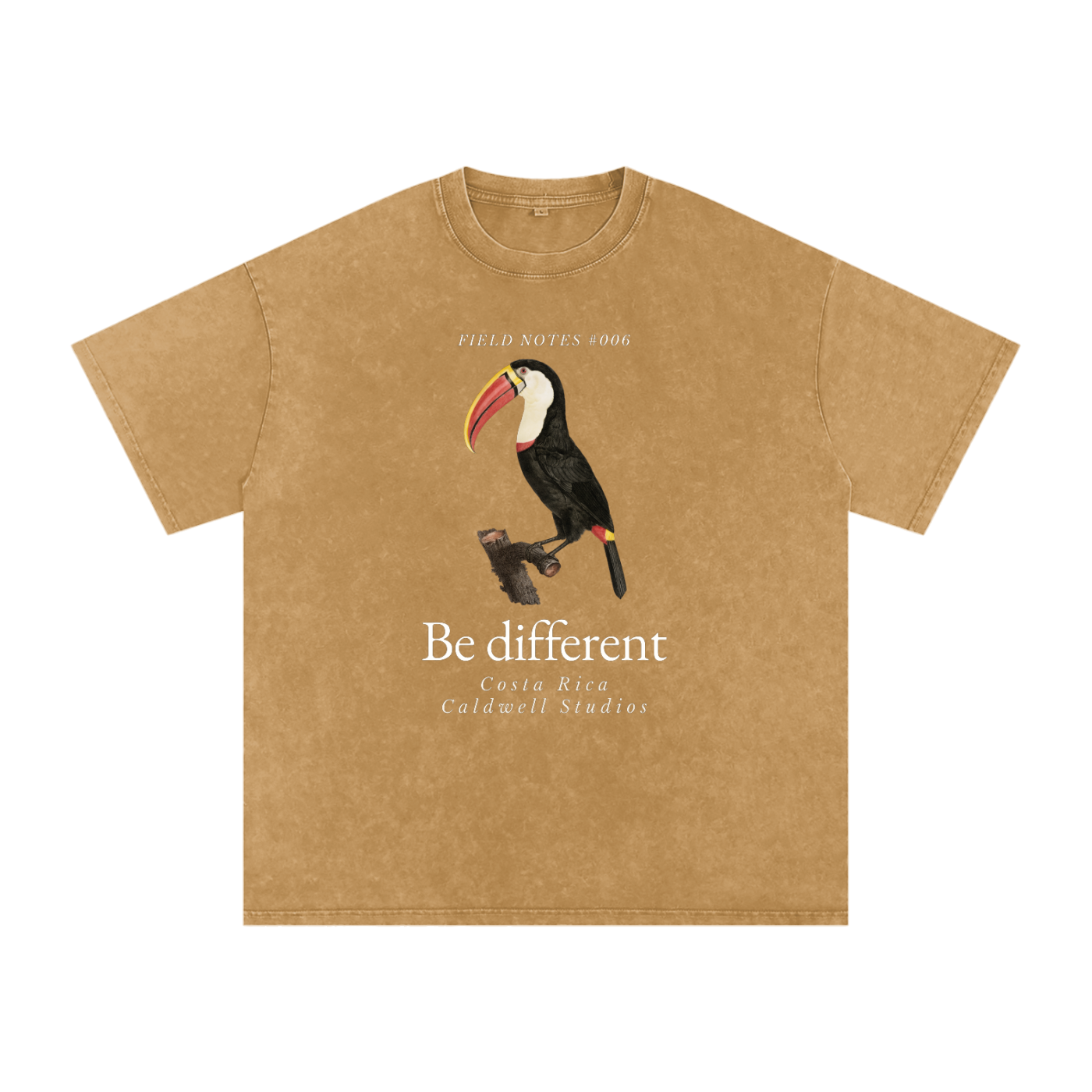 Field Notes Snow Washed Oversized Cotton T-Shirt
