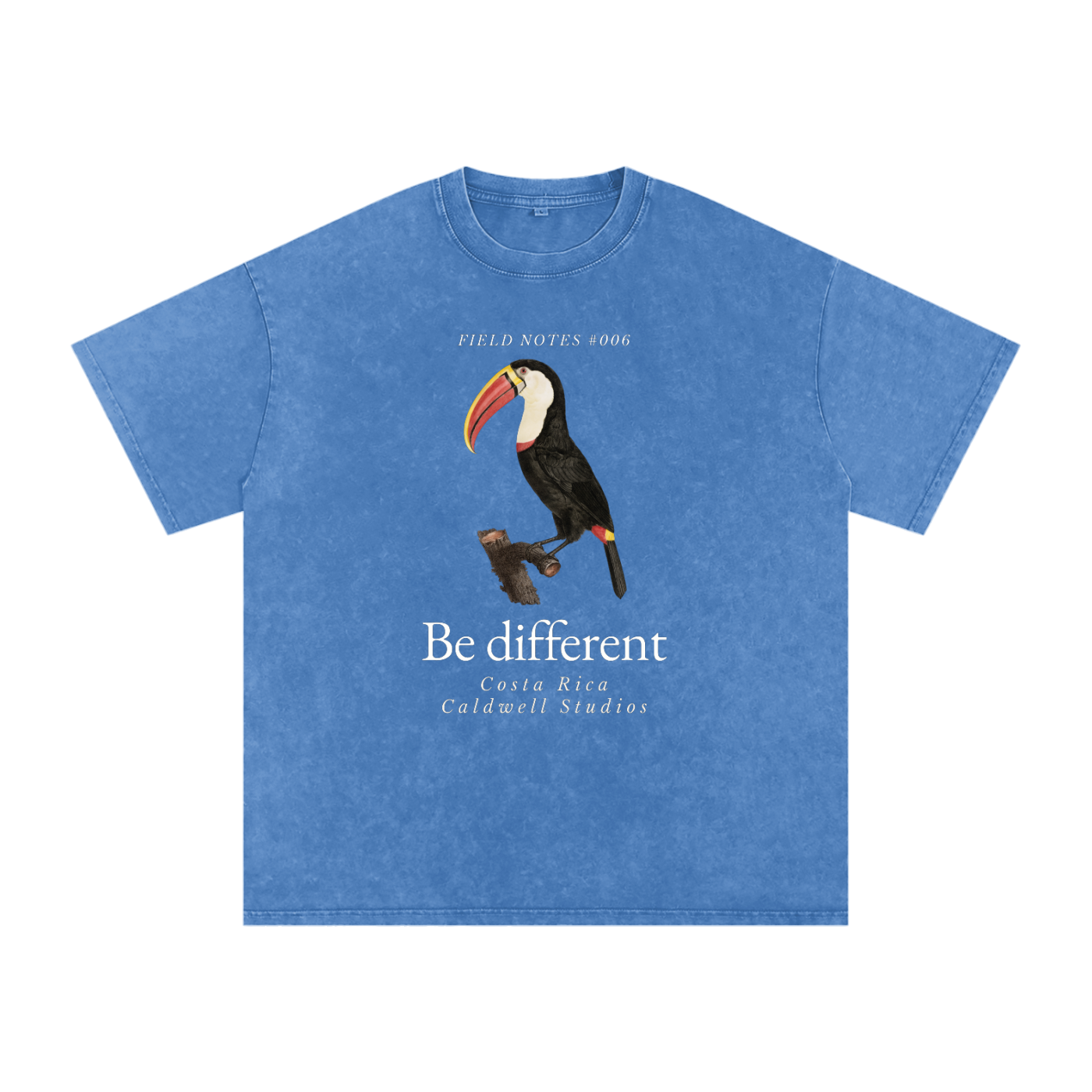 Field Notes Snow Washed Oversized Cotton T-Shirt