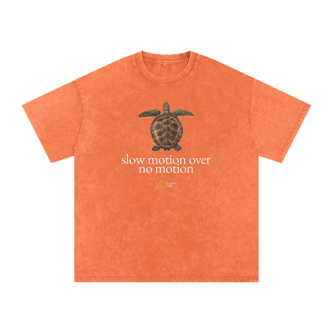 Field Notes Collection Snow Washed Oversized Cotton T-Shirt
