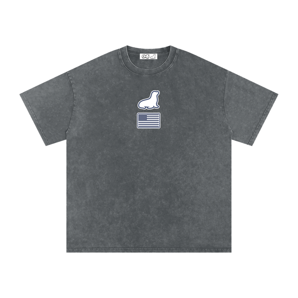 Snow Washed Oversized Cotton T-Shirt