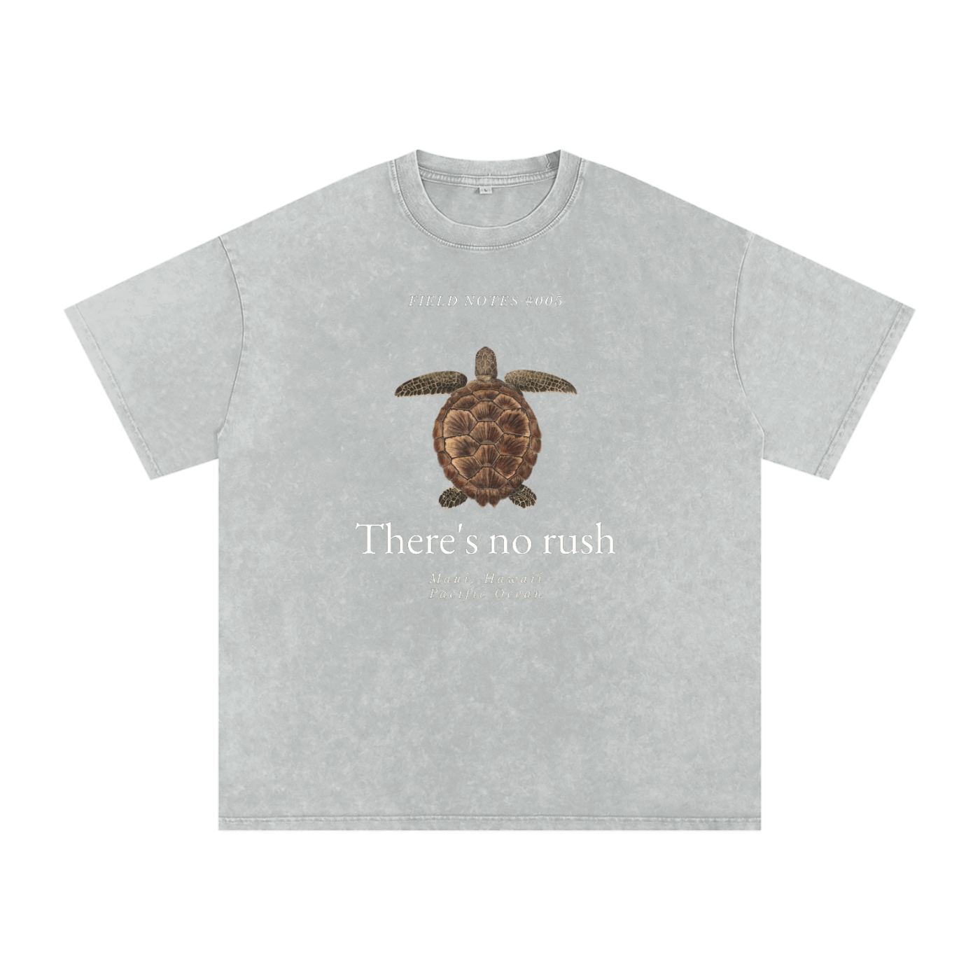 Field Notes Collection Snow Washed Oversized Cotton T-Shirt