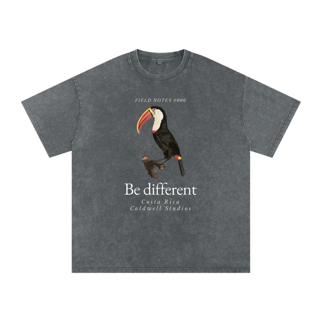 Field Notes Snow Washed Oversized Cotton T-Shirt