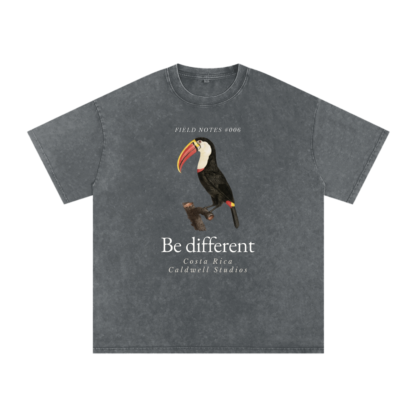 Field Notes Snow Washed Oversized Cotton T-Shirt