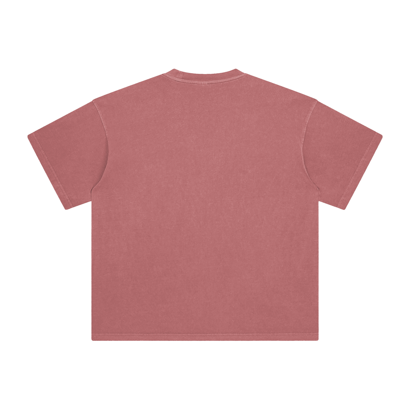 Founders Logo CWS Enzyme Washed T-Shirt
