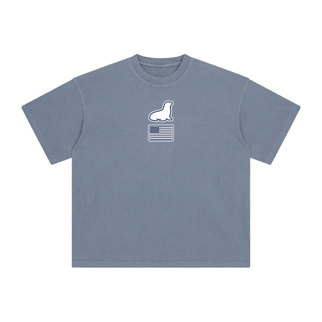 Founders Logo USA Enzyme Washed T-Shirt