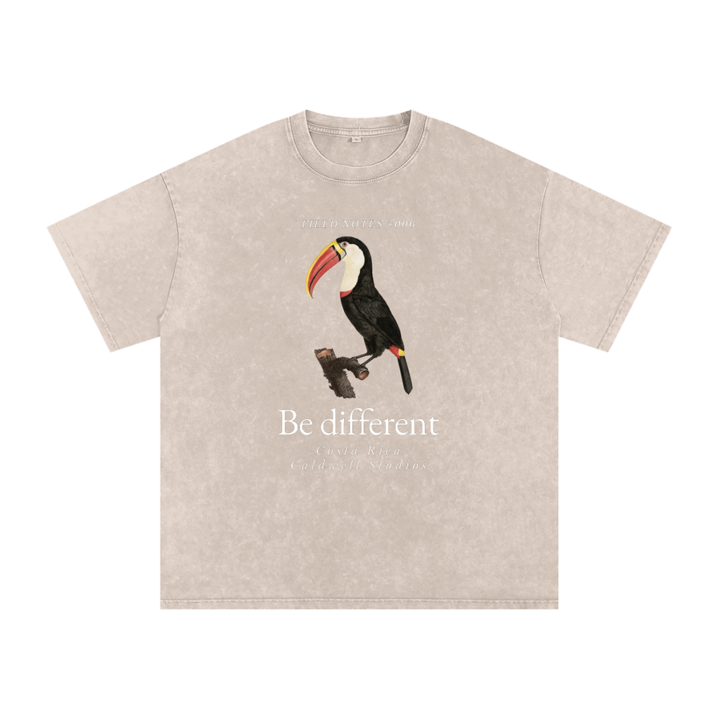 Field Notes Snow Washed Oversized Cotton T-Shirt