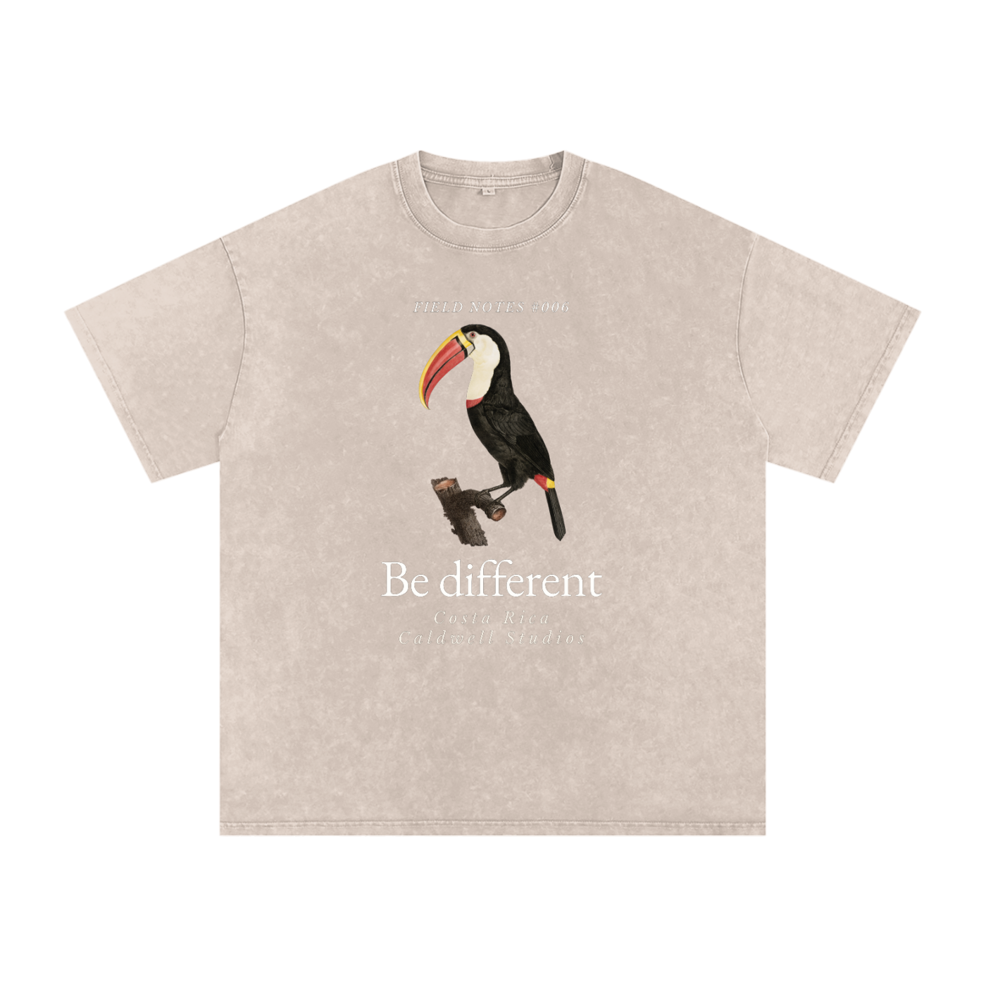 Field Notes Snow Washed Oversized Cotton T-Shirt