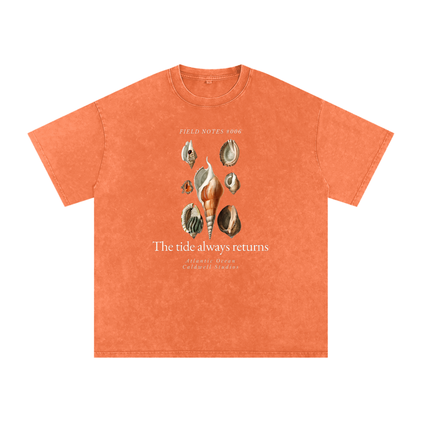 Field NotesSnow Washed Oversized Cotton T-Shirt
