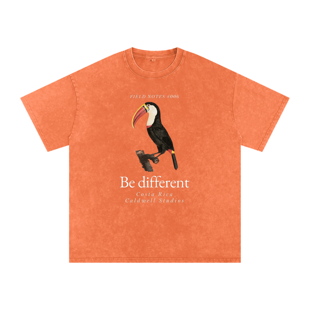 Field Notes Snow Washed Oversized Cotton T-Shirt