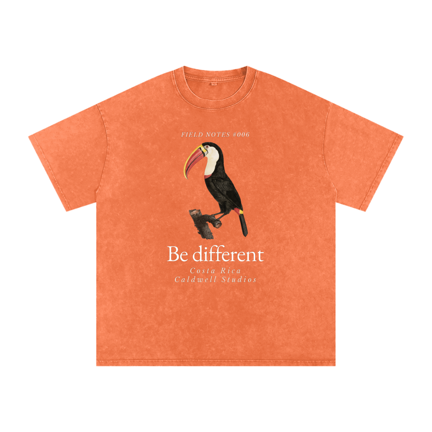 Field Notes Snow Washed Oversized Cotton T-Shirt