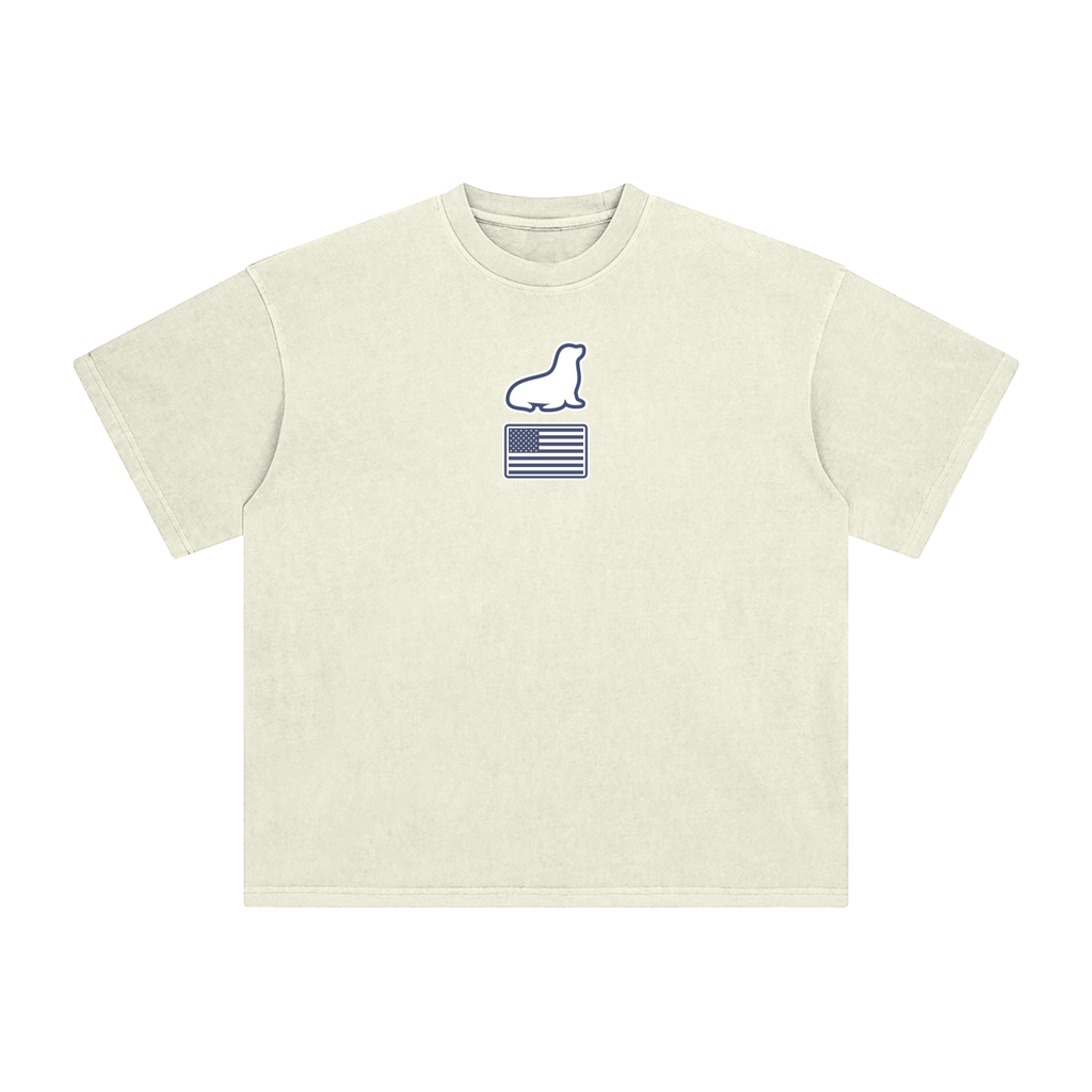 Founders Logo USA Enzyme Washed T-Shirt