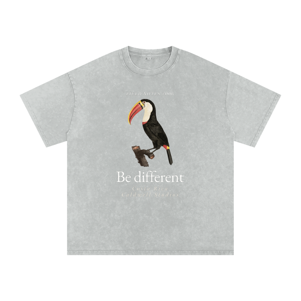 Field Notes Snow Washed Oversized Cotton T-Shirt