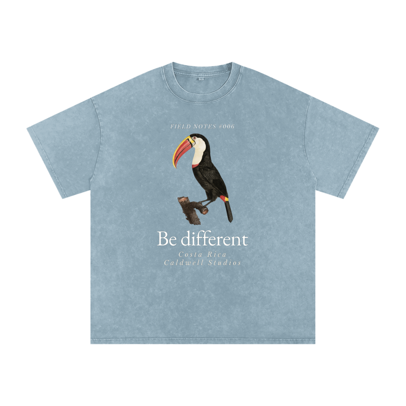 Field Notes Snow Washed Oversized Cotton T-Shirt