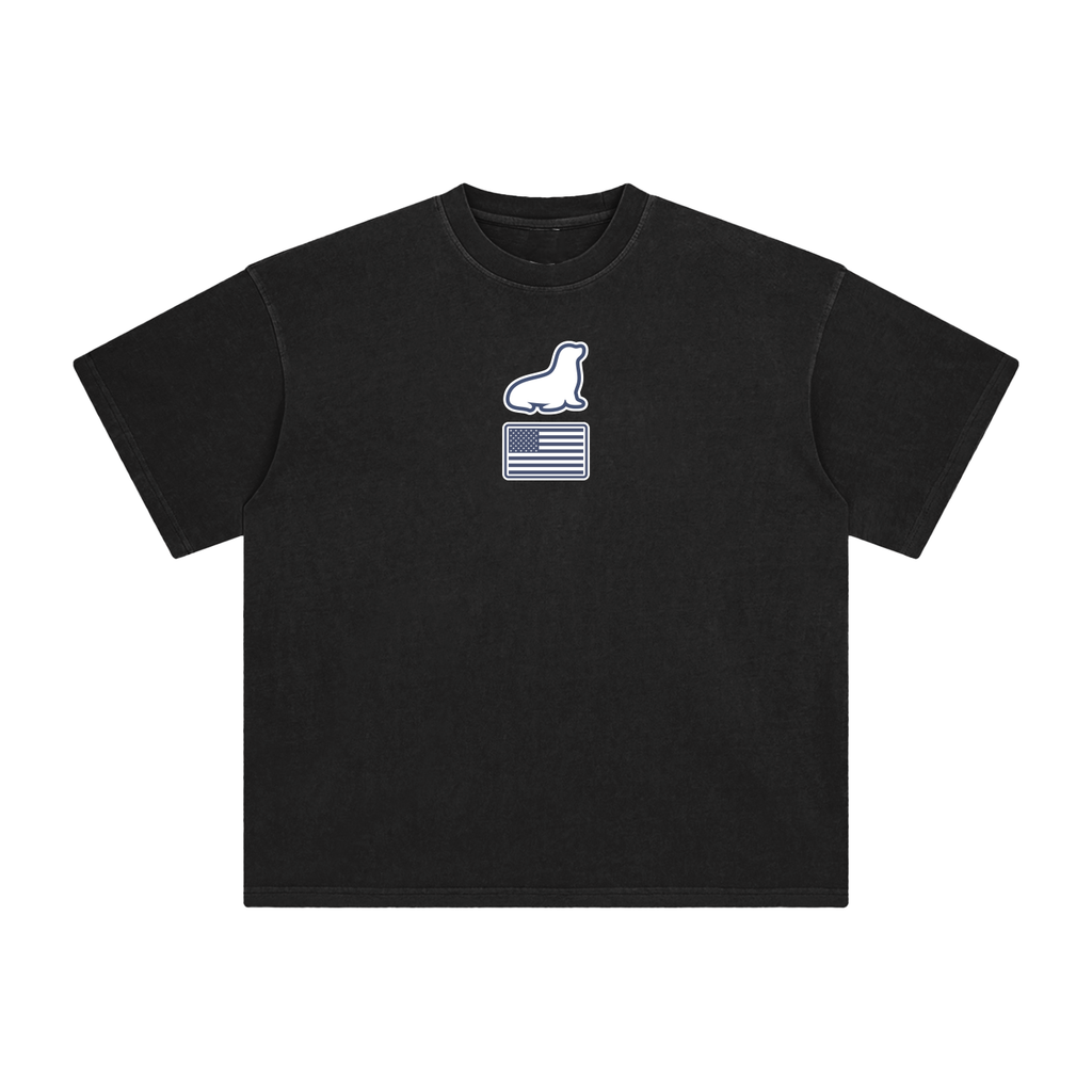 Founders Logo USA Enzyme Washed T-Shirt