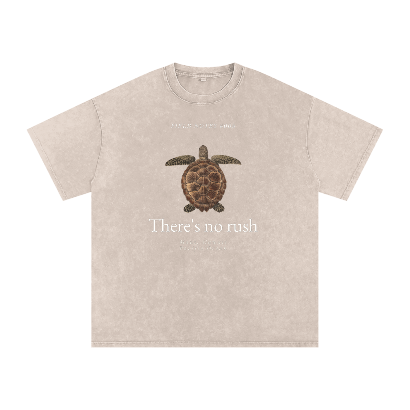 Field Notes Collection Snow Washed Oversized Cotton T-Shirt