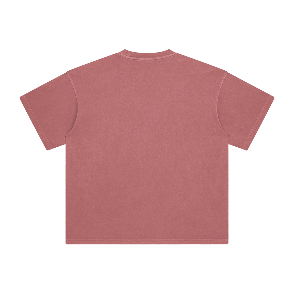 Founders Logo USA Enzyme Washed T-Shirt