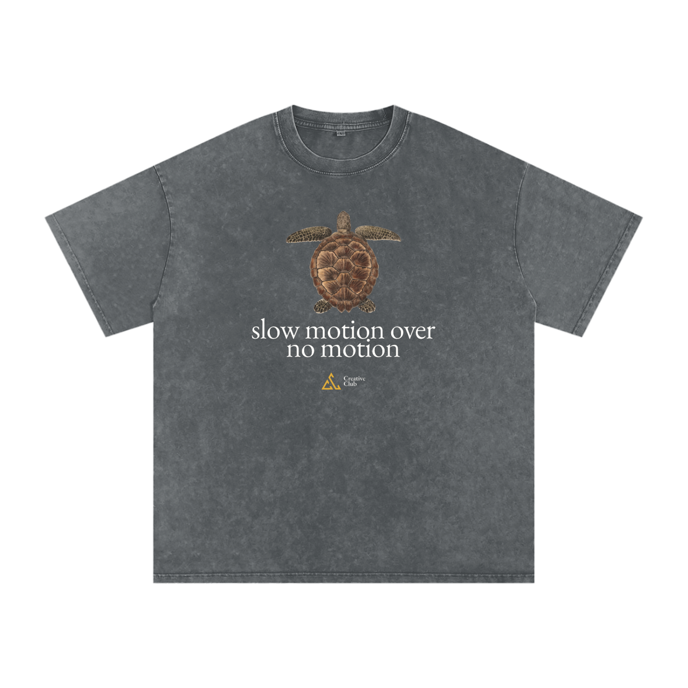 Field Notes Collection Snow Washed Oversized Cotton T-Shirt