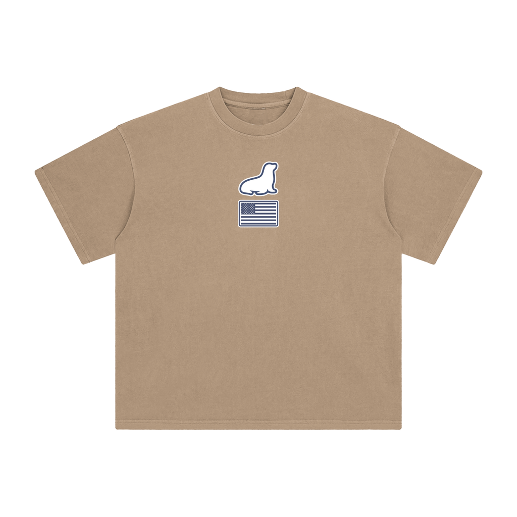 Founders Logo USA Enzyme Washed T-Shirt