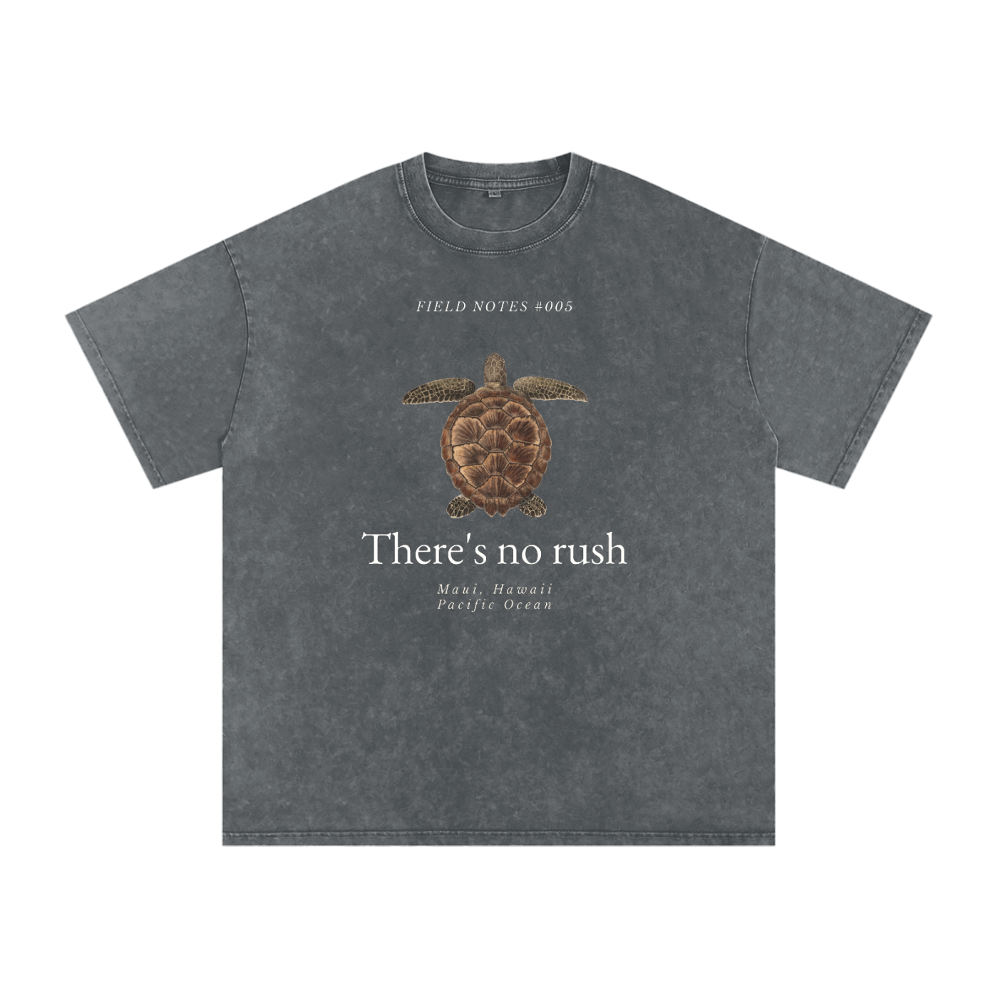 Field Notes Collection Snow Washed Oversized Cotton T-Shirt
