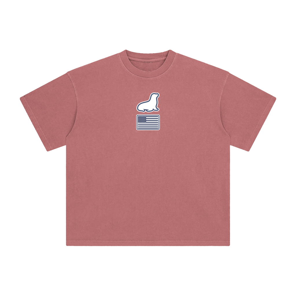 Founders Logo USA Enzyme Washed T-Shirt