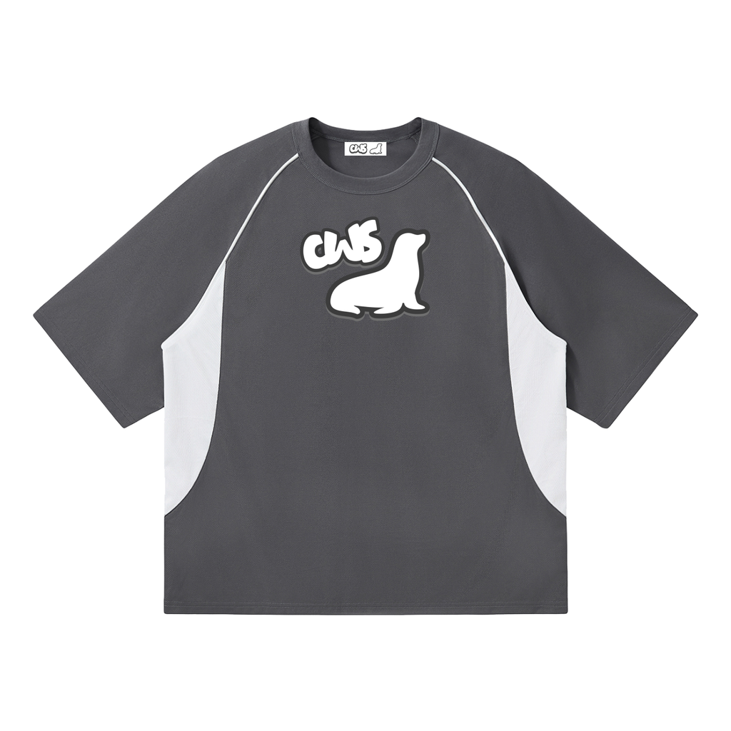 Contrast Piping Panel Raglan T-Shirt