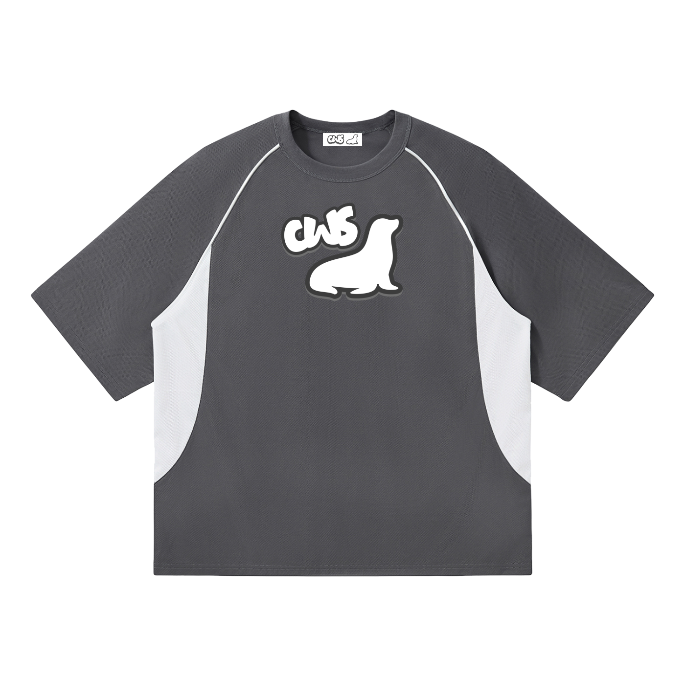 Contrast Piping Panel Raglan T-Shirt