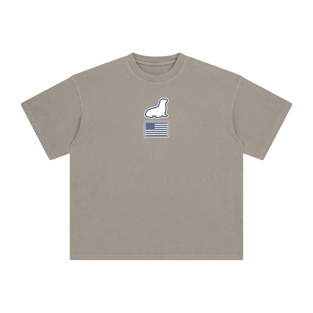 Founders Logo USA Enzyme Washed T-Shirt