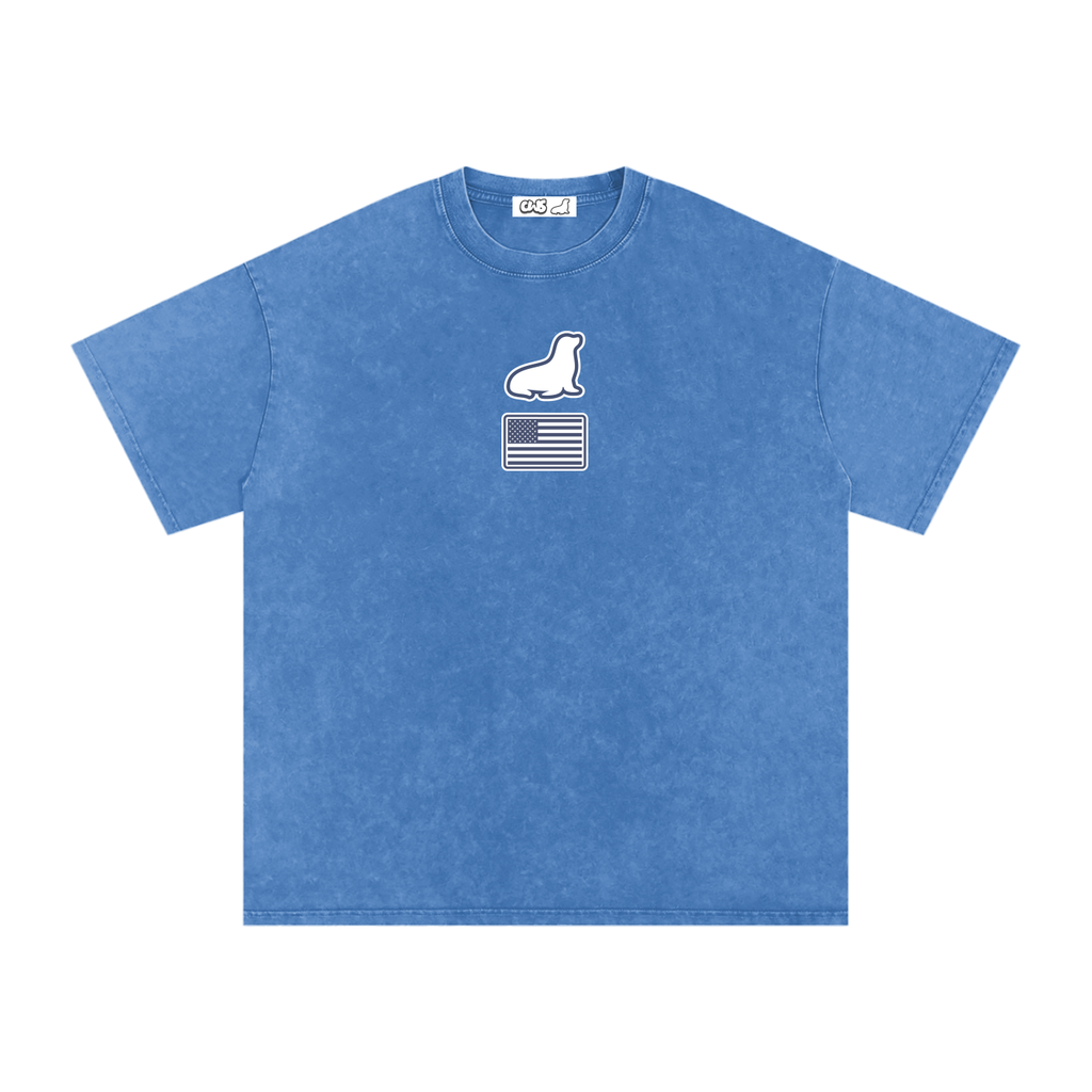 Snow Washed Oversized Cotton T-Shirt