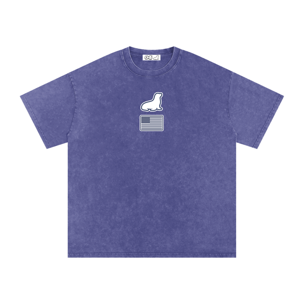 Snow Washed Oversized Cotton T-Shirt