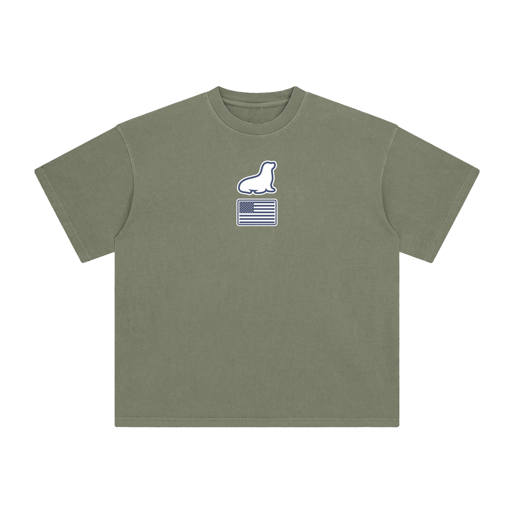 Founders Logo USA Enzyme Washed T-Shirt